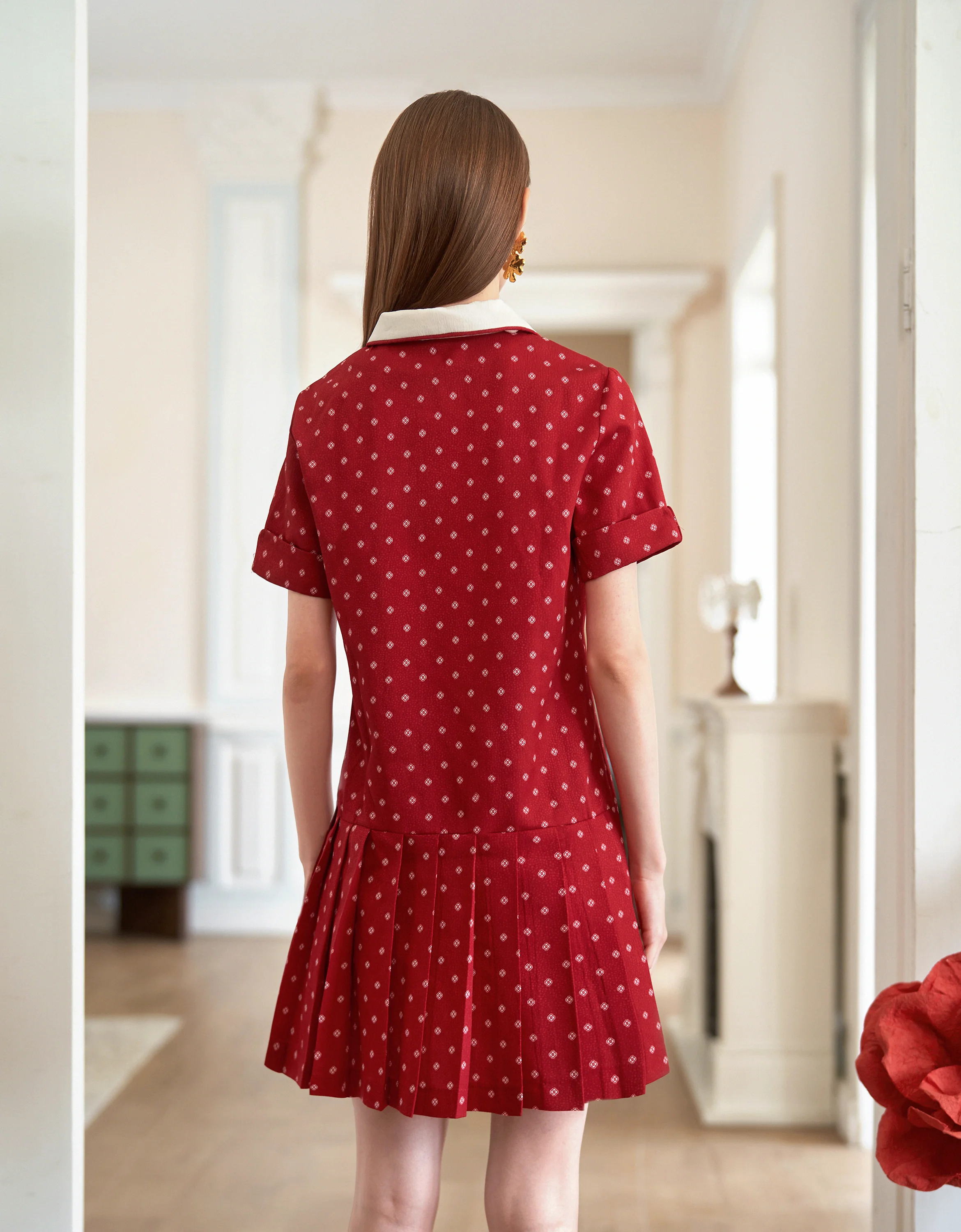 Contrast Collar Pleated Hem Printed Dress - Image 3