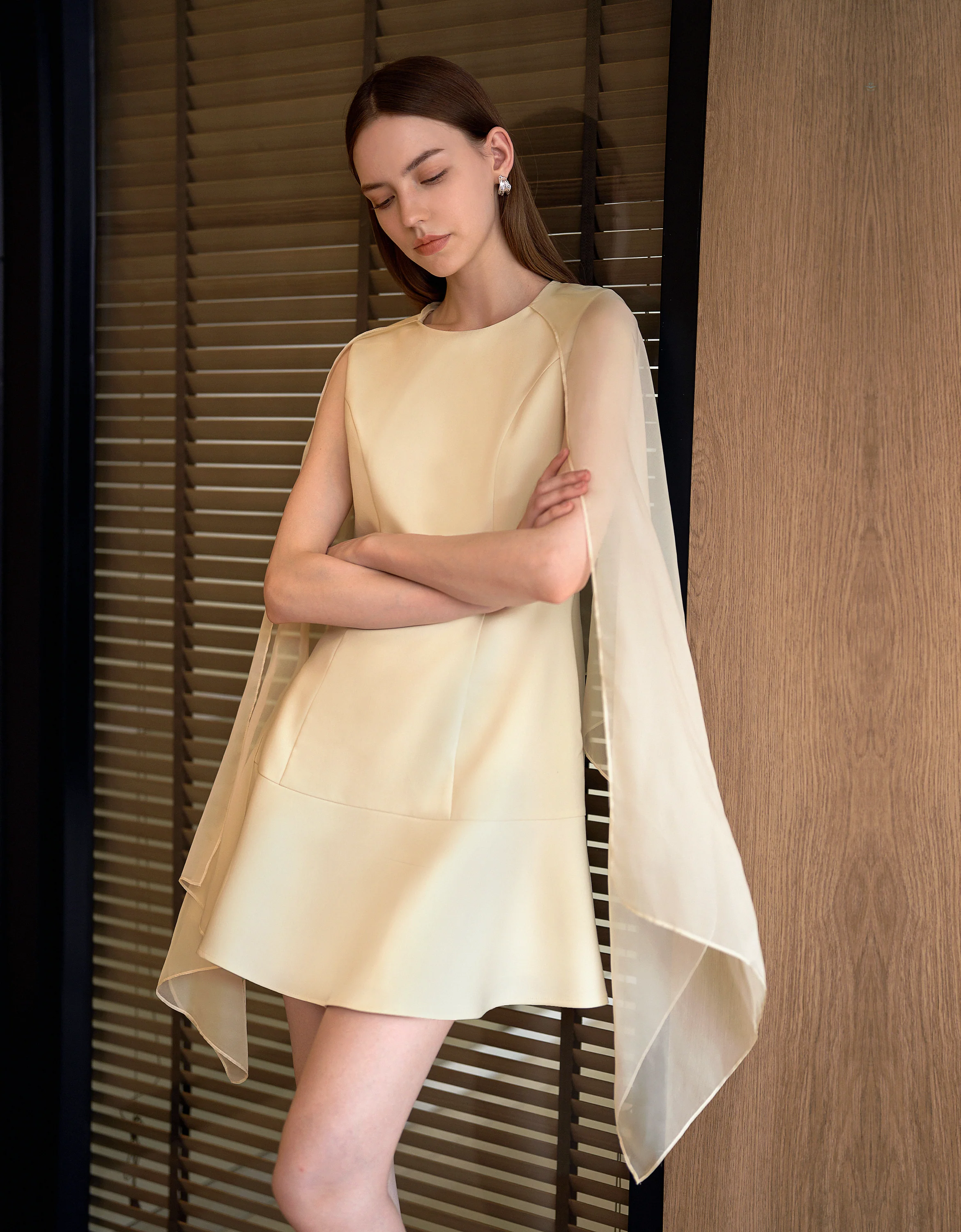 Sleeveless Tulle Two-way Dress - Image 25